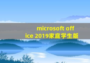 microsoft office 2019家庭学生版